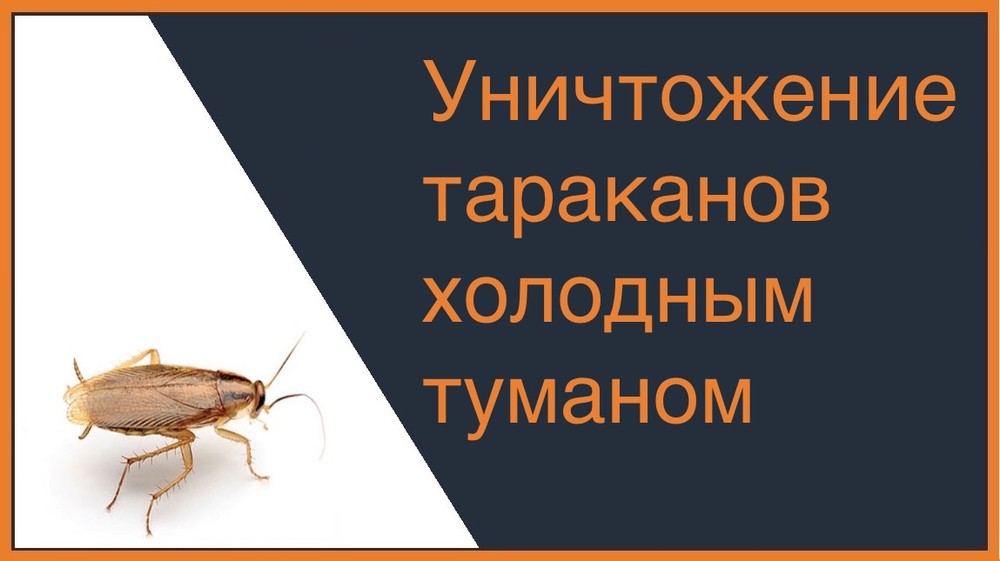 Уничтожение тараканов холодным туманом в Челябинске