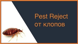 Pest Reject от клопов