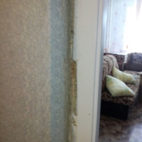 Уничтожение клопов в квартире с гарантией Челябинск