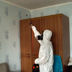 Дезинфекция постельных клопов в квартире – Челябинск