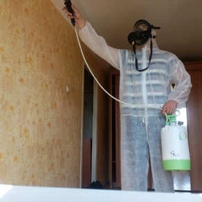Уничтожение тараканов в квартире – цена в Челябинске