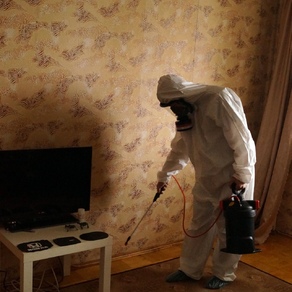 Уничтожение тараканов вызов на дом. Челябинск