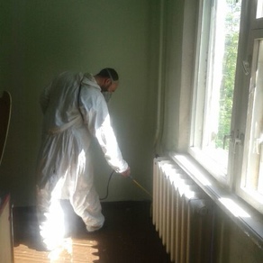 Уничтожить тараканов в квартире в Челябинске