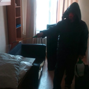 Выведение тараканов в квартире с гарантией в Челябинске