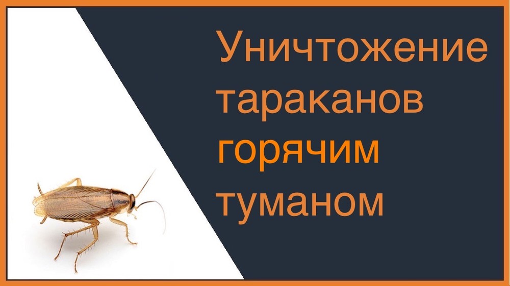Уничтожение тараканов горячим туманом в Челябинске
