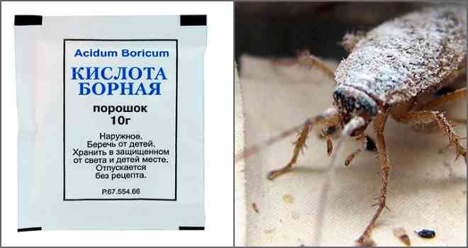 Борная кислота от тараканов – отзывы в Челябинске