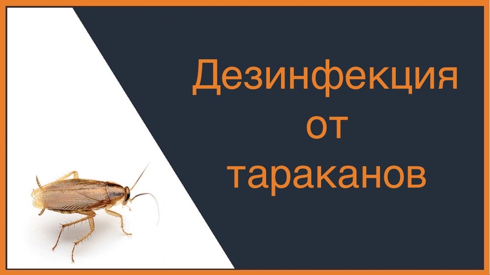 Дезинфекция от тараканов в Челябинске